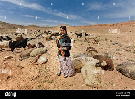 The Clever Shepherdess! A 11th-Century Iranian Folk Tale That Celebrates Wit Over Brute Strength